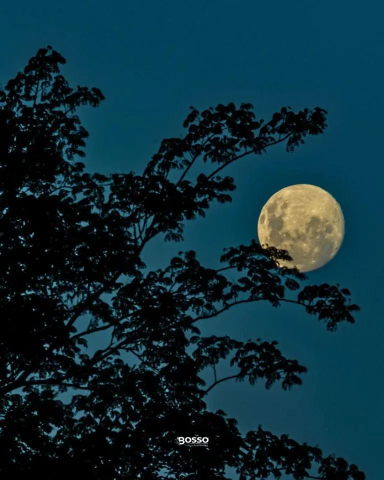 canoa luna piena3