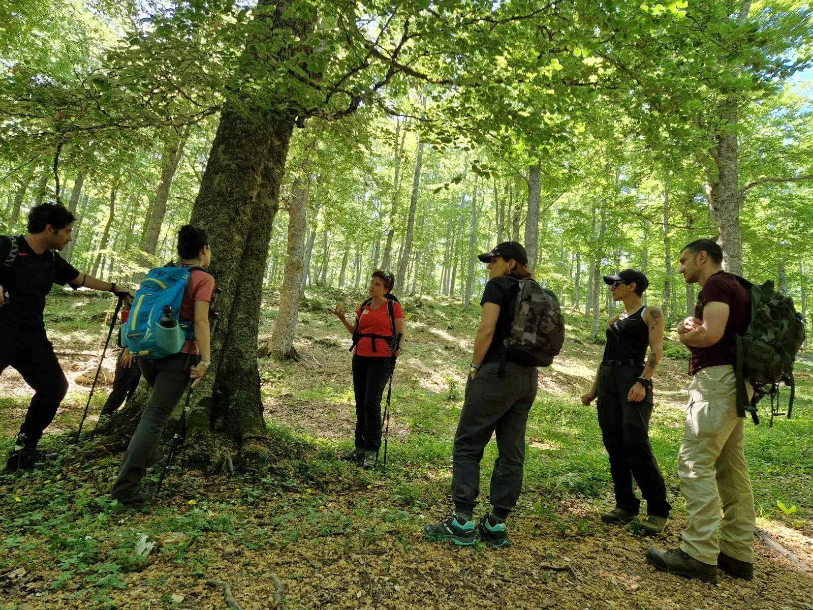 Trekking il bosso