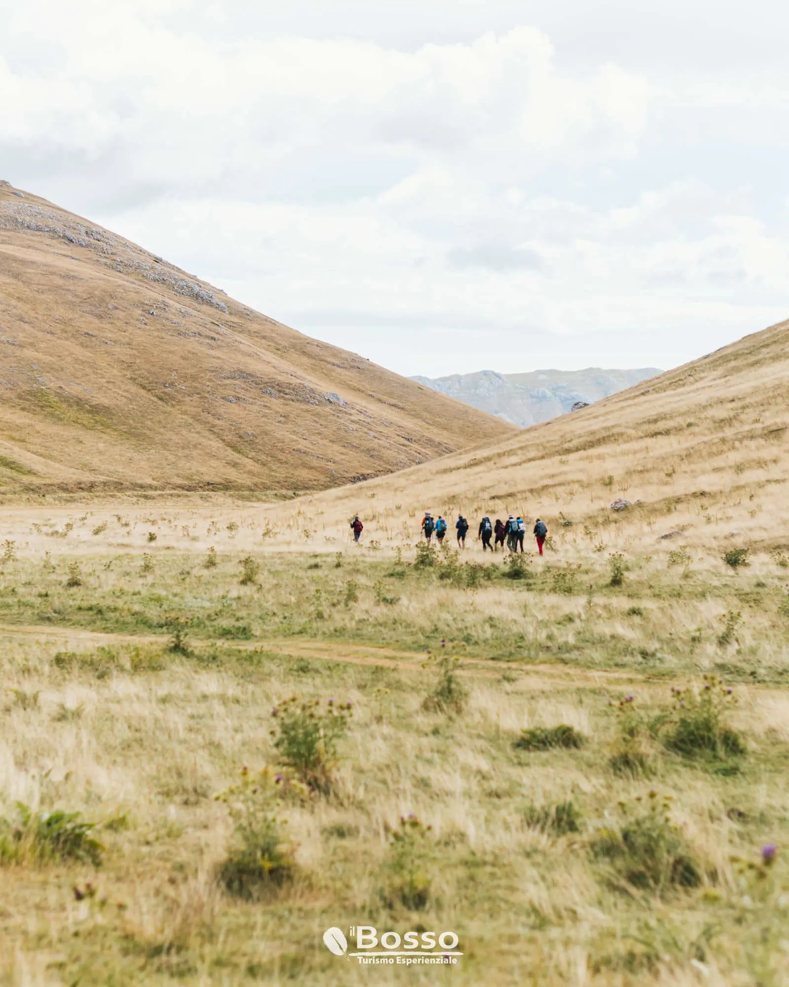 CamminoSG (5)