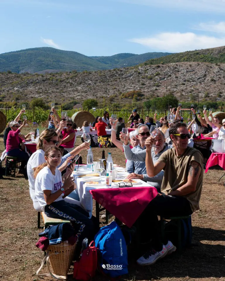 Vendemmia_2024-114