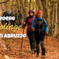 Copertine newsletter 2 85x85