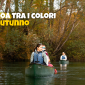 Copertine newsletter 5 85x85