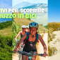 Copertine newsletter 85x85