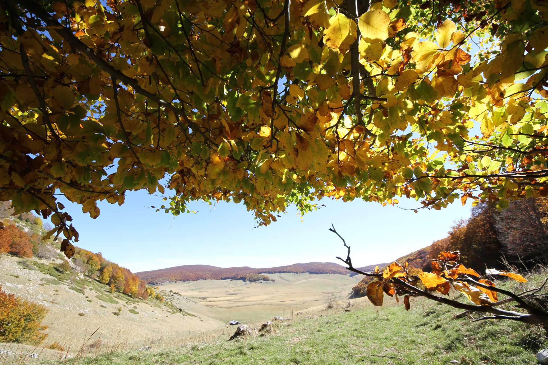 voltigno autunno il bosso abruzzo