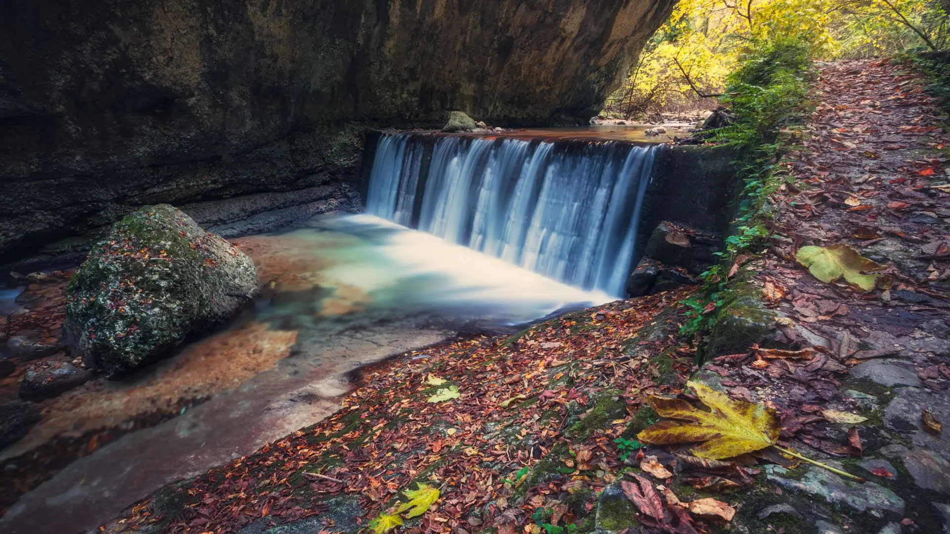 orfento autunno 1