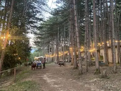 plaja bosco sera