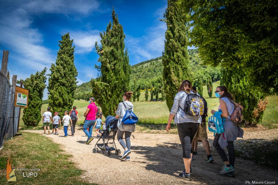 centrovisitadellupo-popoli-cervi-lupoappenninico-daini-15