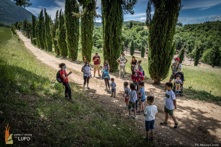 centrovisitadellupo-popoli-cervi-lupoappenninico-daini-36