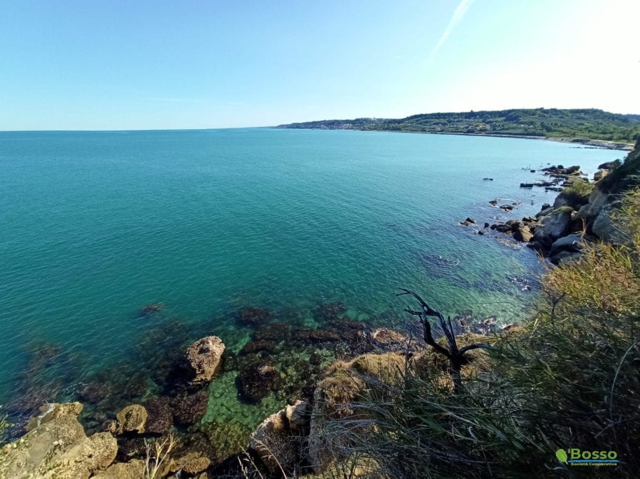 Veduta della costa verso sud dalla falesia di Punta dell_Acquabella - Copia