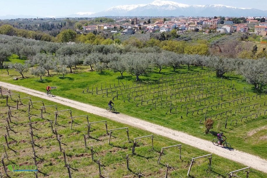 ebike-trabocchi4