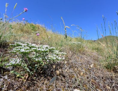 Foto di Fabio Conti