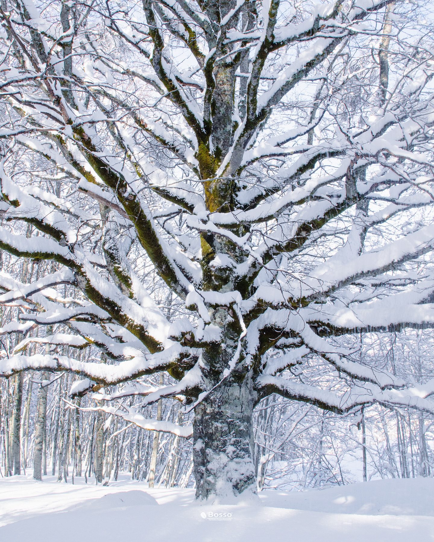 480743984_18462415462068549_8220974671274293555_n