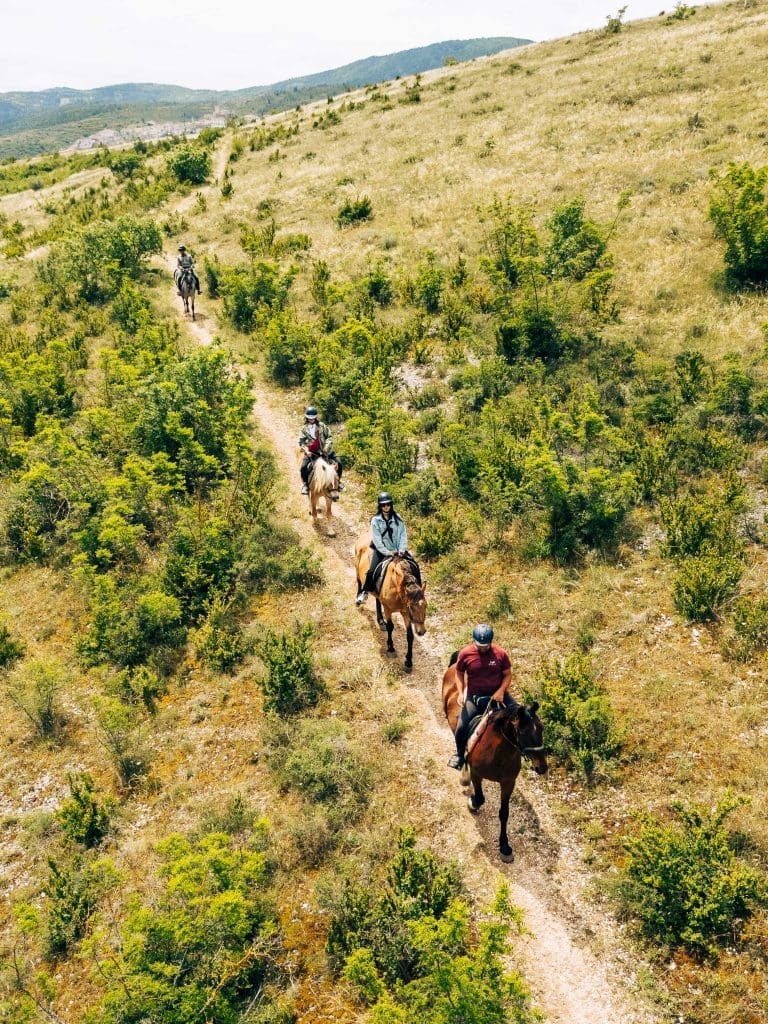 7 - Cavallo-2