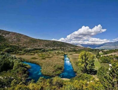 FB_IMG_1654854363569-394x303