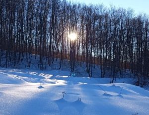 WhatsApp-Image-2022-01-15-at-16.32.52-1-605x465