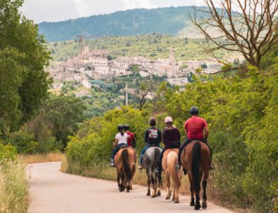 cavallo-tirino-4_web-394x303