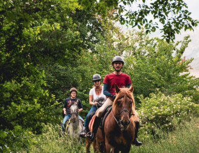 cavallo-tirino-5_web-394x303