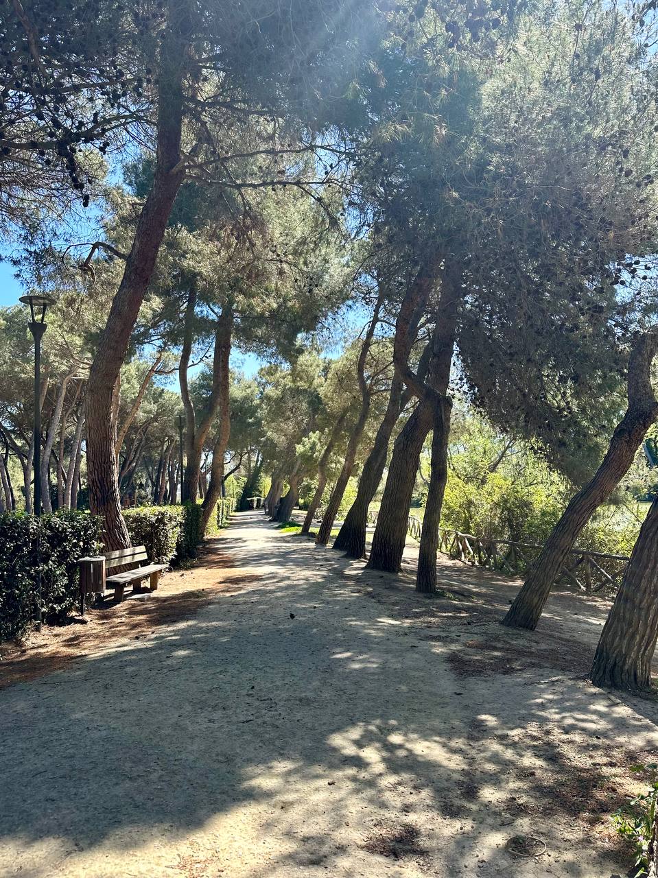 photo_2024-04-08_16-43-17