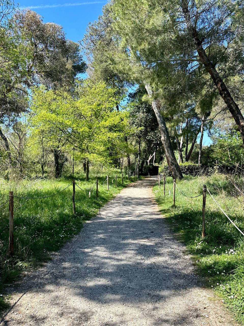 photo_2024-04-08_16-43-42