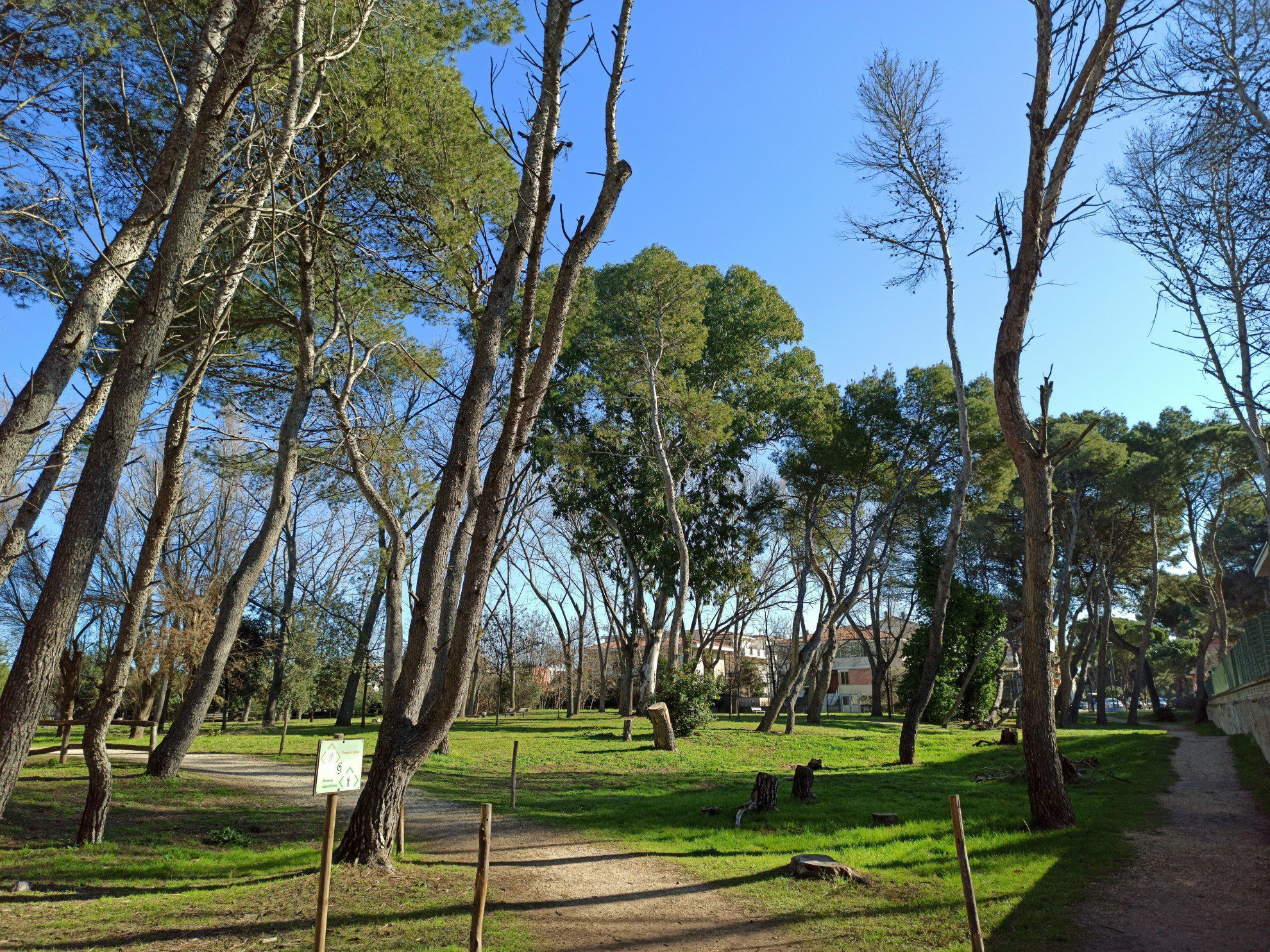 pineta-dannunziana-1