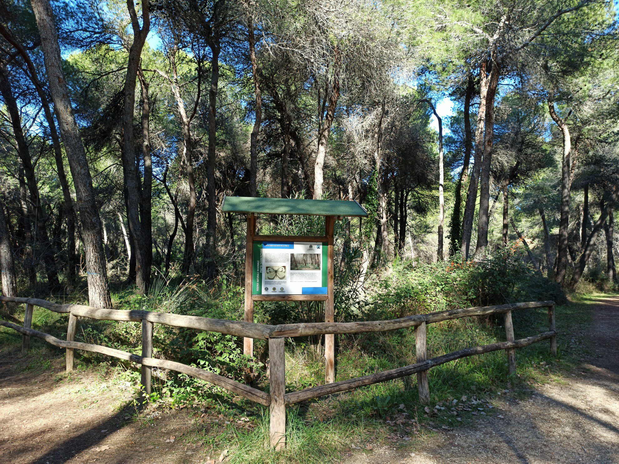 pineta-dannunziana-3