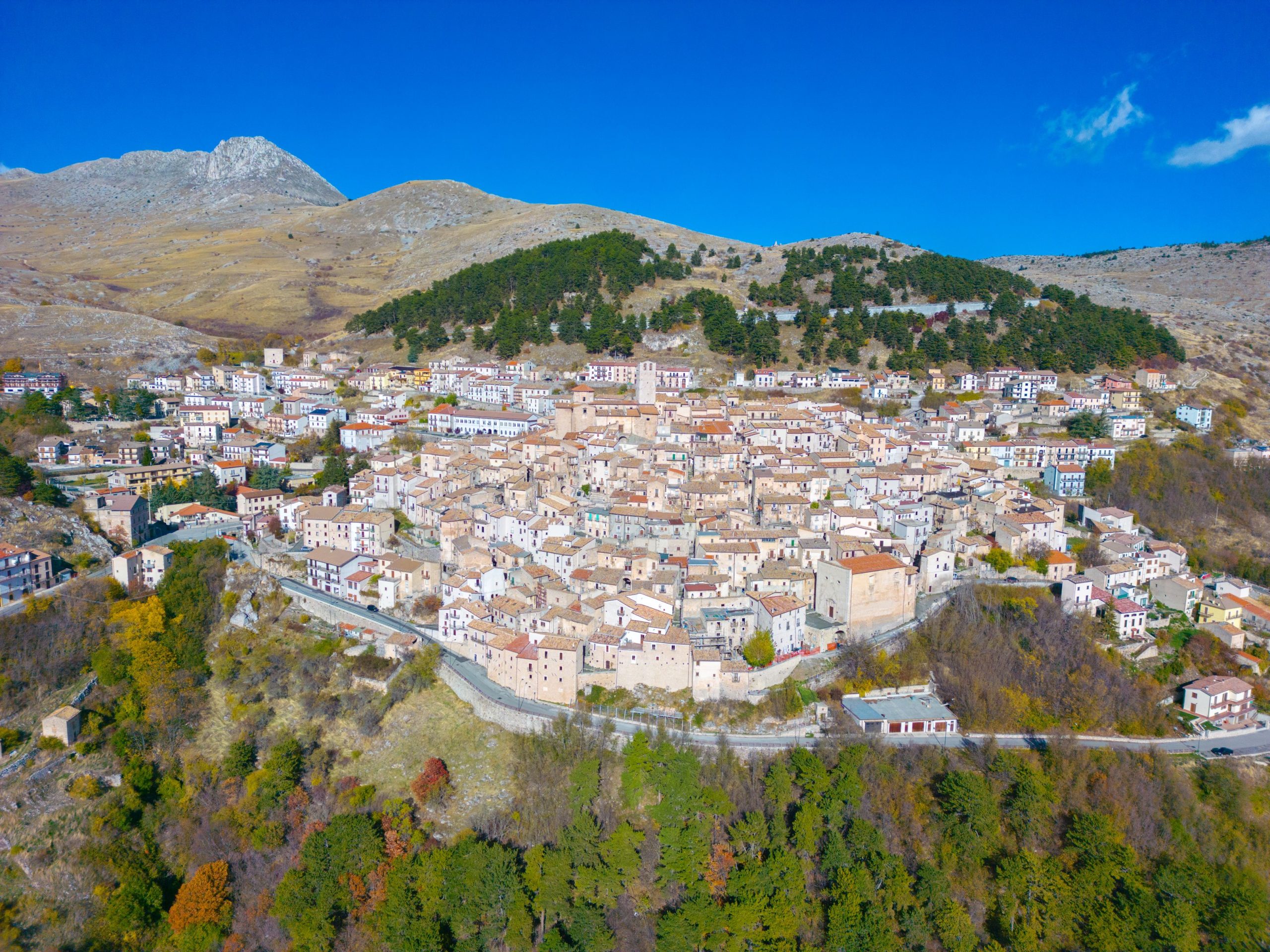 CasteldelMonte_1 Copia scaled