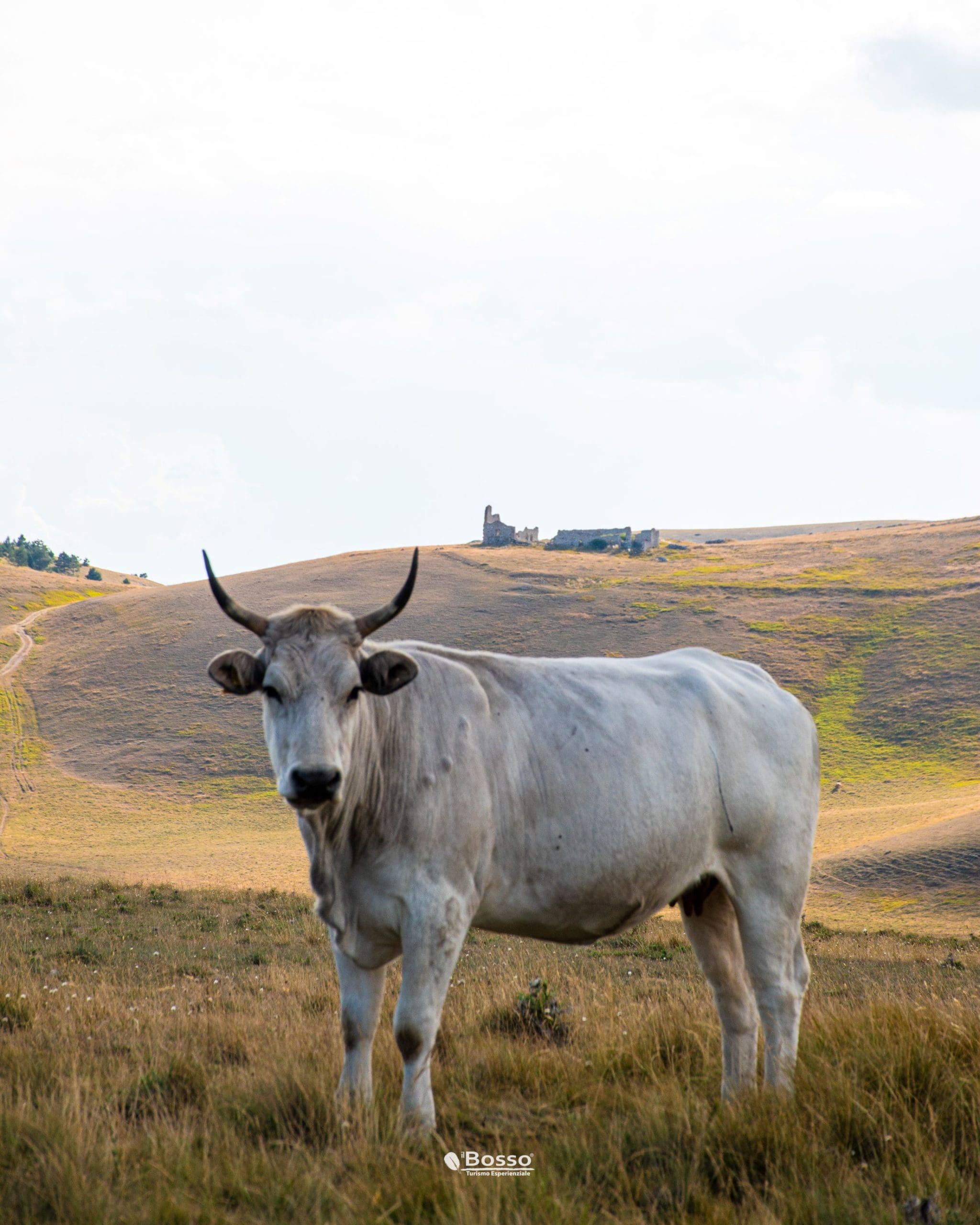 Trekking_CampoImperatore_Tramonto-72