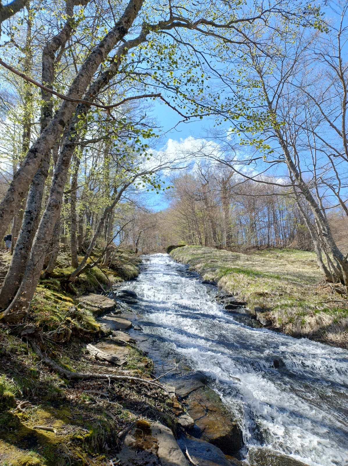 Cento fonti8