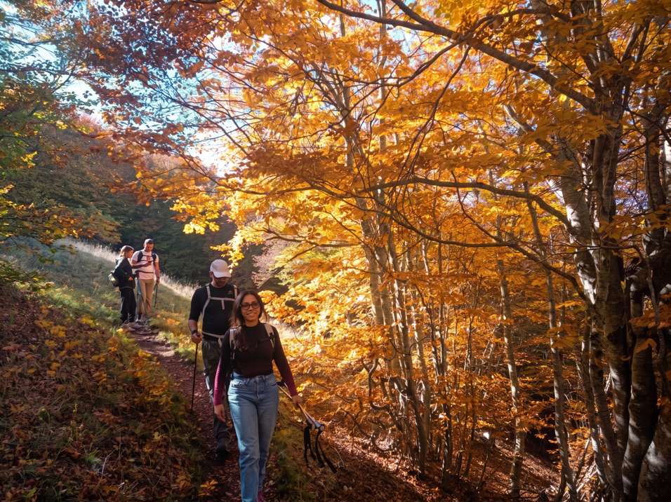 trekking autunno bosco mileto il bosso maiella