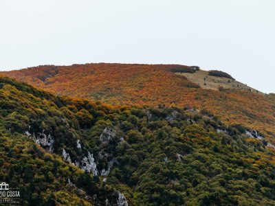 01-11-2023 Pentima-169