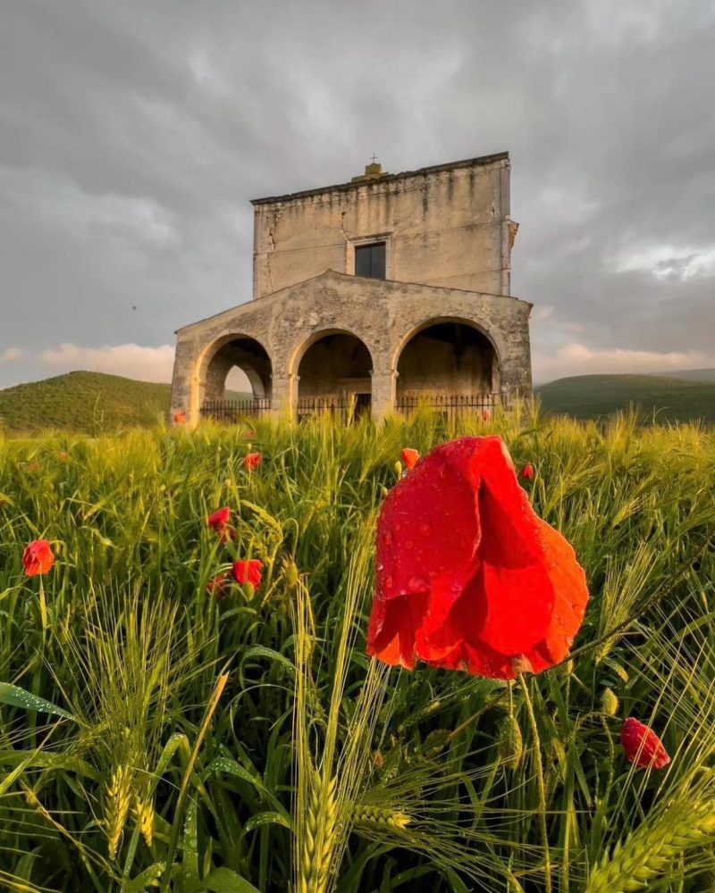 488887083_1127527219417633_6674958422571132206_n