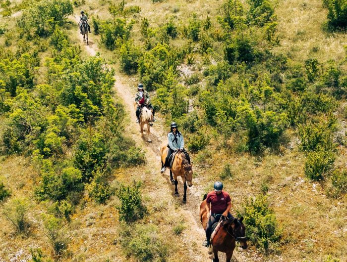 7 - Cavallo-2