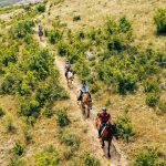 7 – Cavallo-2 7 - Cavallo-2