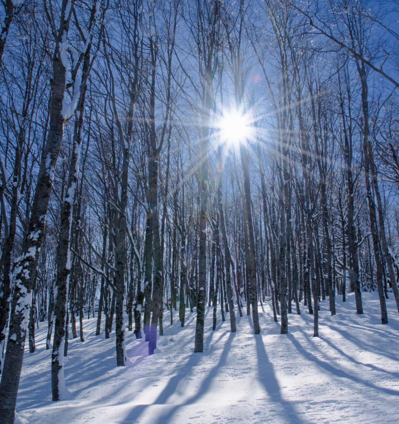 Ciaspolata_PratidiTivo-174-3200x4000