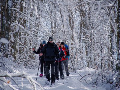 Ciaspolata_Voltigno_Gen2024-35