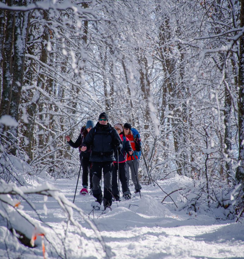 Ciaspolata_Voltigno_Gen2024-35