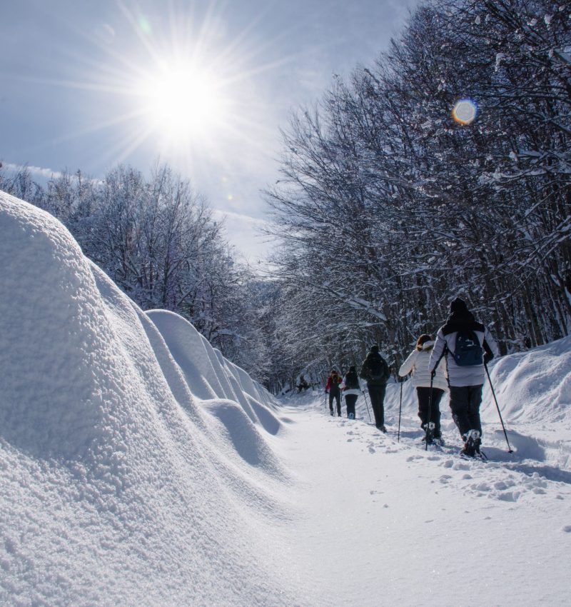 Ciaspolate_Varie_27nov25-6