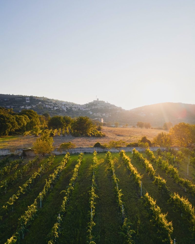 ECORISTORO-1080-x-1350-px-1