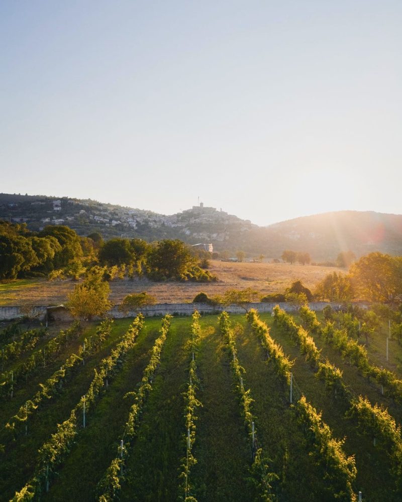 ECORISTORO-1080-x-1350-px-1