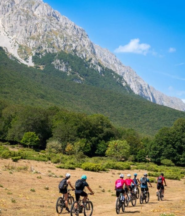 Ebike_Gagliano_Pt1-39web-605x806 (2)