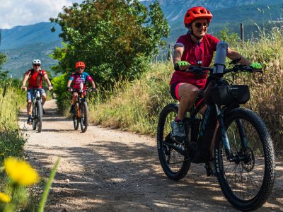 Ebike_VDT_10lug26-3