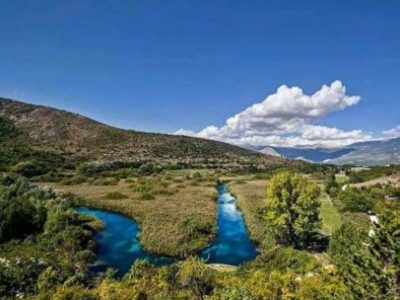 FB_IMG_1654854363569-394x303