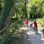 IMG_20170711_113852-1024x768