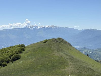 Monte Cappucciata Il Bosso 5
