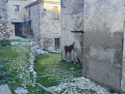 Monte la Queglia6