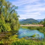 Sorgentidelpescara_web