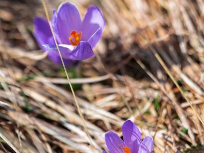 Trek Campo Imperatore inverno2