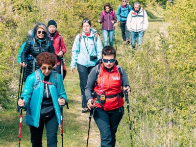 Trekk_il bosso vario