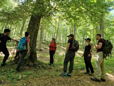 Trekking il bosso