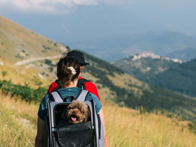 TrekkingRC